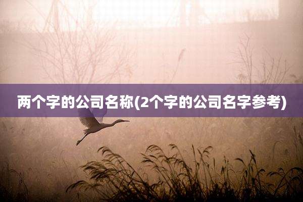 两个字的公司名称(2个字的公司名字参考)