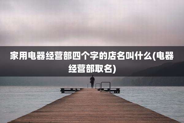 家用电器经营部四个字的店名叫什么(电器经营部取名)