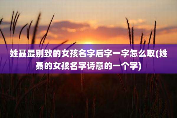 姓聂最别致的女孩名字后字一字怎么取(姓聂的女孩名字诗意的一个字)