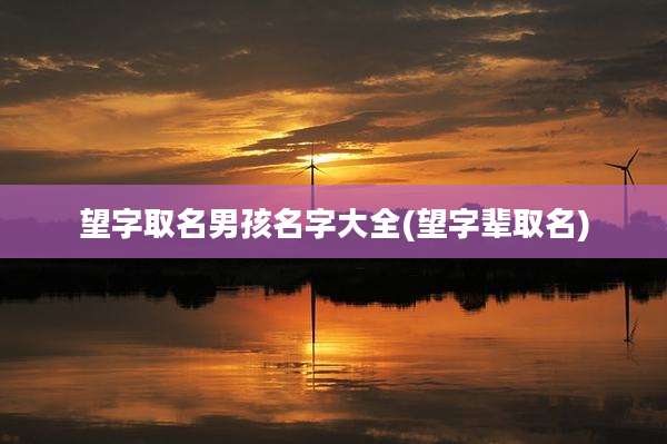 望字取名男孩名字大全(望字辈取名)