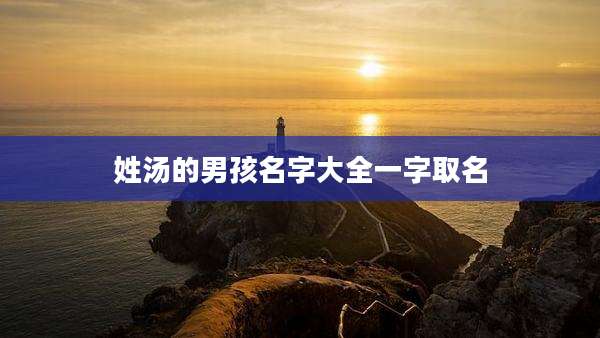 姓汤的男孩名字大全一字取名