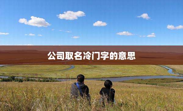 公司取名冷门字的意思