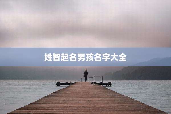 姓智起名男孩名字大全