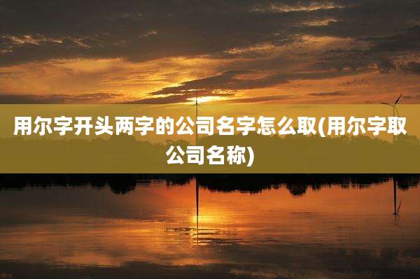 用尔字开头两字的公司名字怎么取(用尔字取公司名称)