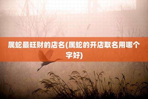 属蛇最旺财的店名(属蛇的开店取名用哪个字好)