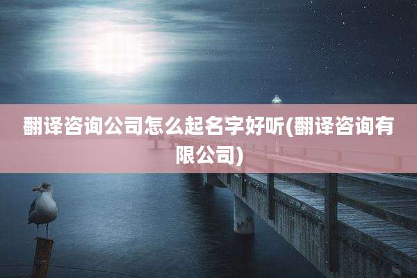 翻译咨询公司怎么起名字好听(翻译咨询有限公司)