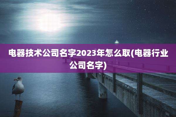 电器技术公司名字2023年怎么取(电器行业公司名字)