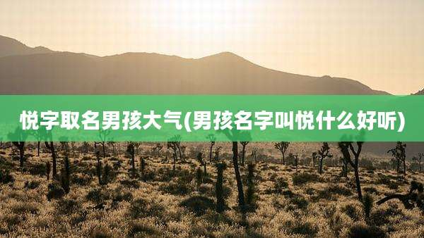 悦字取名男孩大气(男孩名字叫悦什么好听)