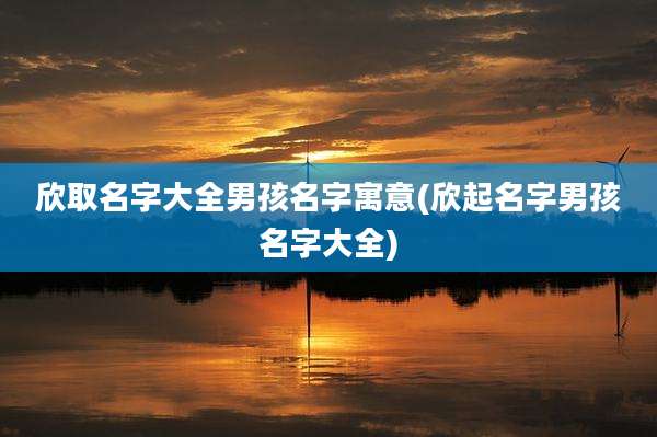 欣取名字大全男孩名字寓意(欣起名字男孩名字大全)