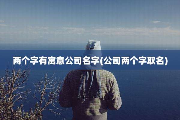 两个字有寓意公司名字(公司两个字取名)
