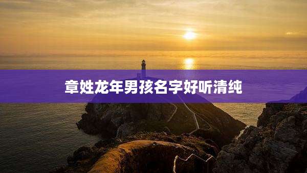 章姓龙年男孩名字好听清纯