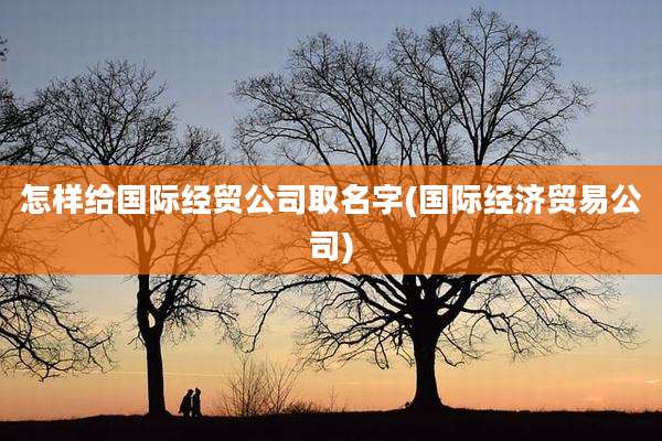 怎样给国际经贸公司取名字(国际经济贸易公司)