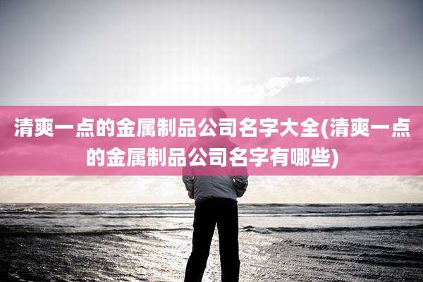 清爽一点的金属制品公司名字大全(清爽一点的金属制品公司名字有哪些)
