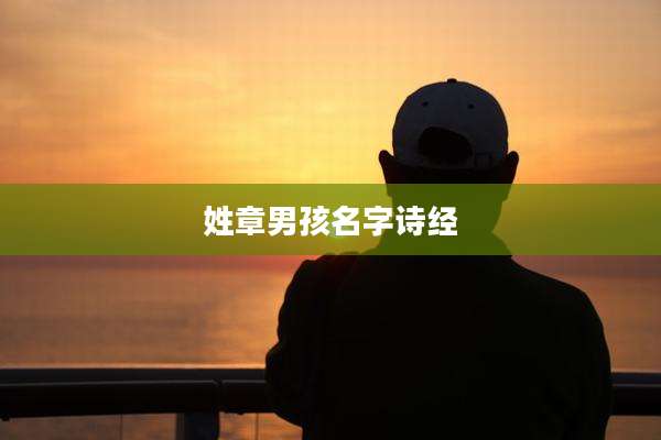 姓章男孩名字诗经
