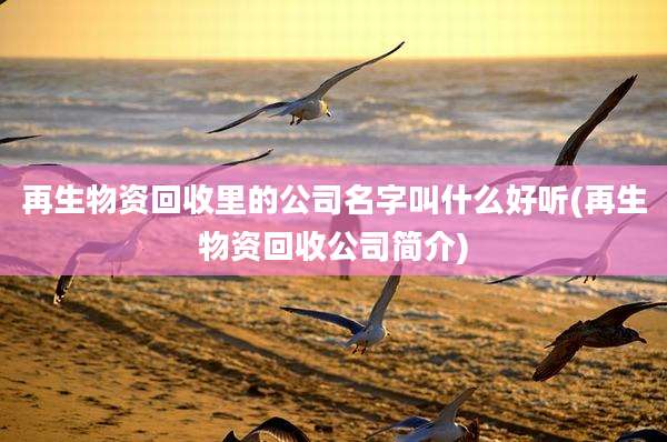 再生物资回收里的公司名字叫什么好听(再生物资回收公司简介)