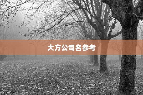 大方公司名参考