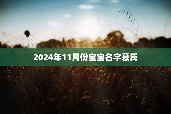 2024年11月份宝宝名字慕氏
