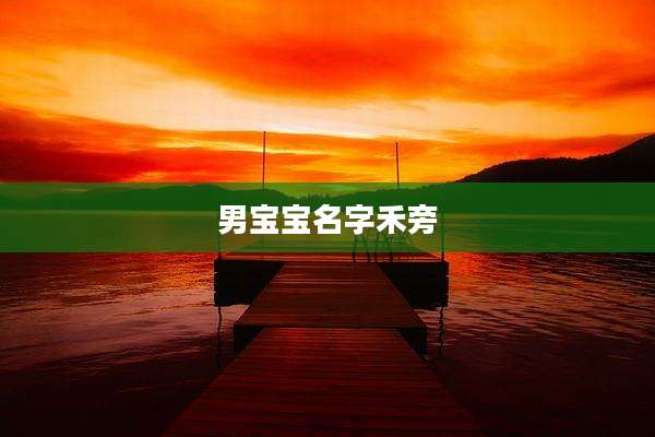 男宝宝名字禾旁