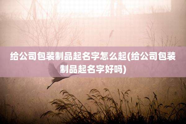 给公司包装制品起名字怎么起(给公司包装制品起名字好吗)