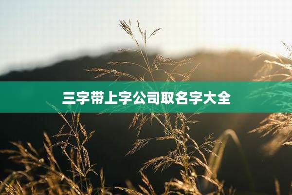 三字带上字公司取名字大全