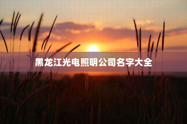 黑龙江光电照明公司名字大全