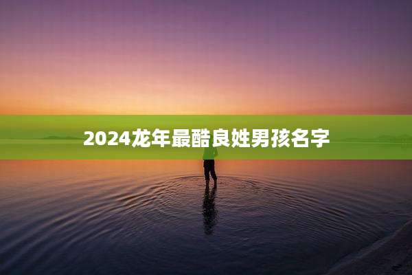 2024龙年最酷良姓男孩名字