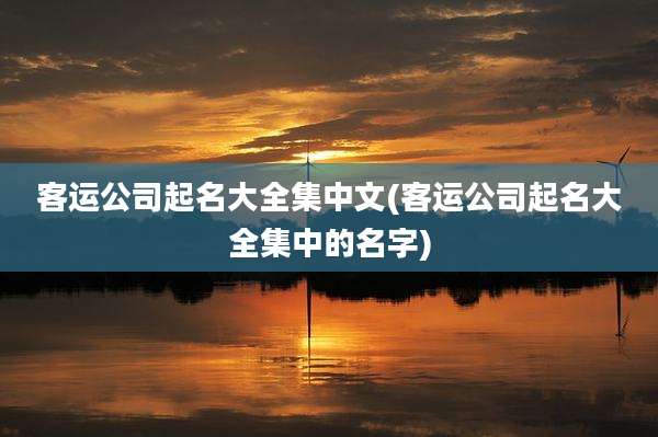 客运公司起名大全集中文(客运公司起名大全集中的名字)