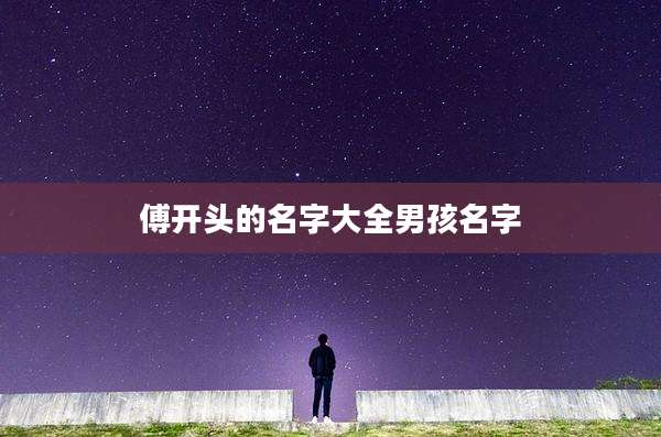 傅开头的名字大全男孩名字
