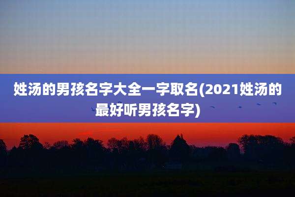 姓汤的男孩名字大全一字取名(2021姓汤的最好听男孩名字)