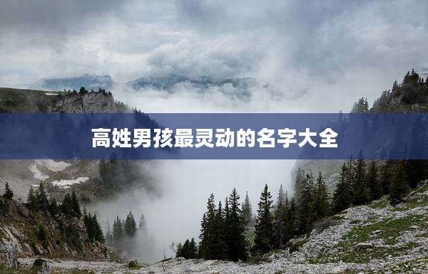 高姓男孩最灵动的名字大全