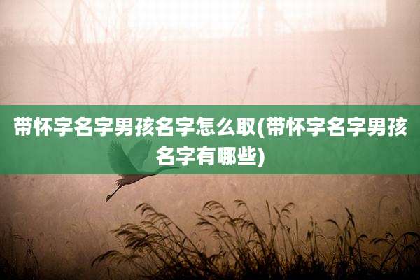 带怀字名字男孩名字怎么取(带怀字名字男孩名字有哪些)