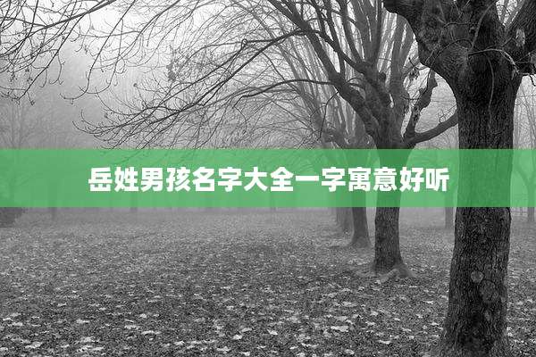 岳姓男孩名字大全一字寓意好听