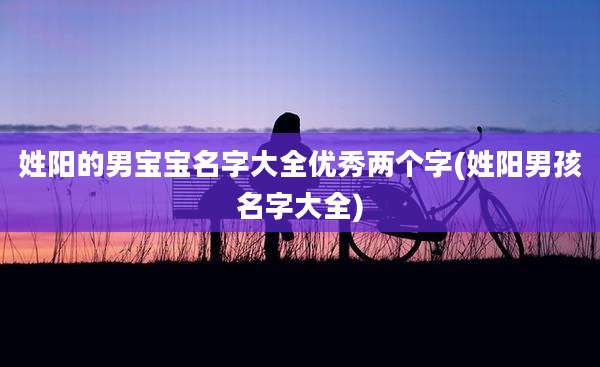 姓阳的男宝宝名字大全优秀两个字(姓阳男孩名字大全)