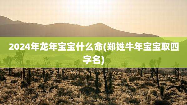2024年龙年宝宝什么命(郑姓牛年宝宝取四字名)