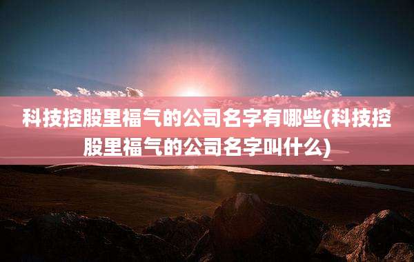 科技控股里福气的公司名字有哪些(科技控股里福气的公司名字叫什么)
