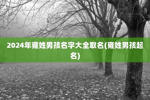 2024年雍姓男孩名字大全取名(雍姓男孩起名)
