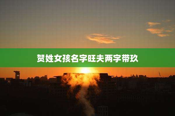贺姓女孩名字旺夫两字带玖
