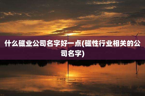 什么磁业公司名字好一点(磁性行业相关的公司名字)