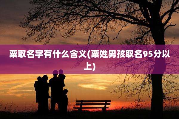 粟取名字有什么含义(粟姓男孩取名95分以上)