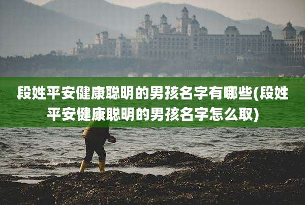 段姓平安健康聪明的男孩名字有哪些(段姓平安健康聪明的男孩名字怎么取)