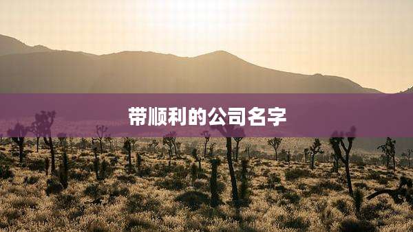 带顺利的公司名字