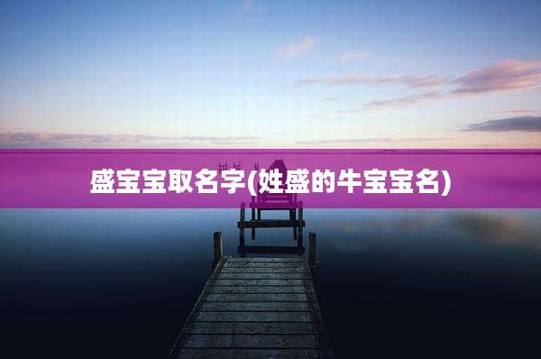 盛宝宝取名字(姓盛的牛宝宝名)