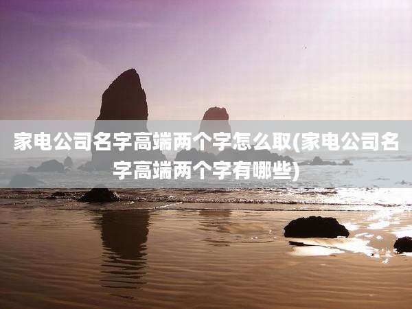 家电公司名字高端两个字怎么取(家电公司名字高端两个字有哪些)
