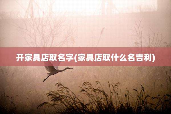 开家具店取名字(家具店取什么名吉利)
