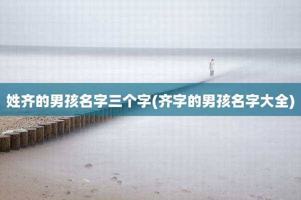 姓齐的男孩名字三个字(齐字的男孩名字大全)