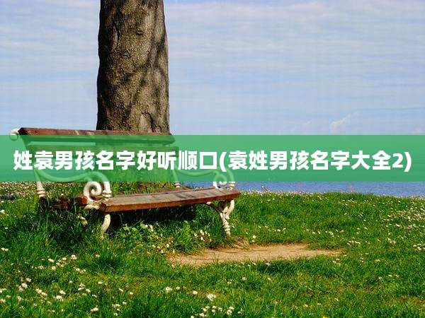 姓袁男孩名字好听顺口(袁姓男孩名字大全2)