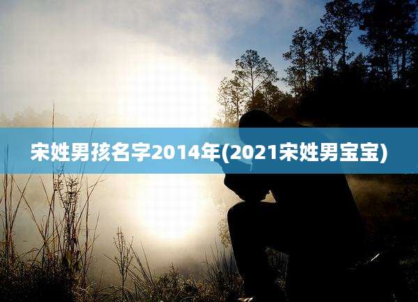 宋姓男孩名字2014年(2021宋姓男宝宝)