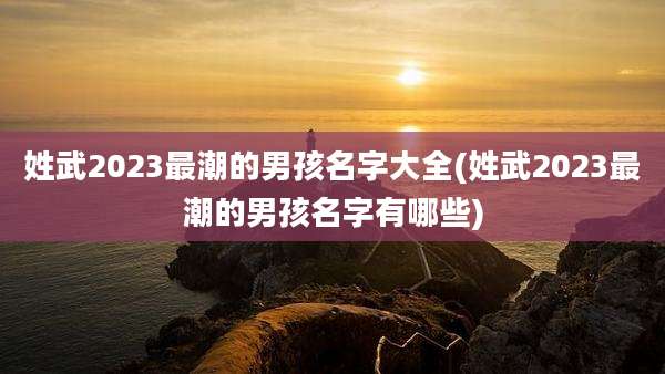 姓武2023最潮的男孩名字大全(姓武2023最潮的男孩名字有哪些)