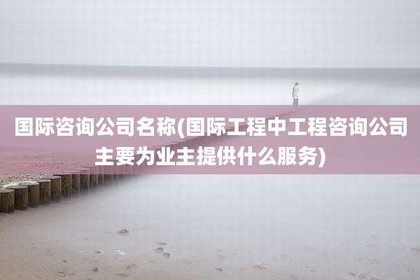 国际咨询公司名称(国际工程中工程咨询公司主要为业主提供什么服务)