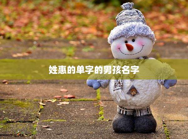 姓惠的单字的男孩名字